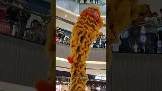 BARONGSAI TONGGAK  Grand Batam Mall [upl. by Cyd]