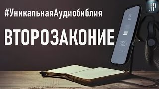 Второзаконие Читаем Библию вместе УНИКАЛЬНАЯ АУДИОБИБЛИЯ [upl. by Ainwat]