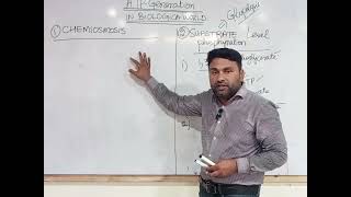 ATP SYNTHESIS SUBSTRATE LEVEL PHOSPHORYLATION VS CHEMIOSMOSIS [upl. by Yznel]