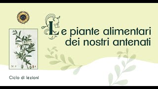 Le piante alimentari nella Toscana preistorica Marta Mariotti Lippi [upl. by Ffilc]