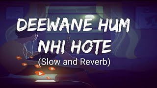 Deewane Hum Nahi Hote Slow and Reverb  Lofi  Hindi  Slow and Reverb songs  Lyrical Audio [upl. by Adnwahsal802]