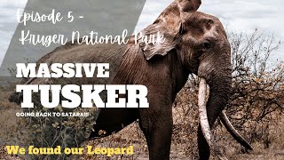 Kruger National Park Ep 5  MASSIVE TUSKER Back to Satara Finale [upl. by Shirah]