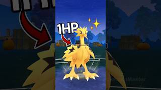 ✨ 1Hp GALARIAN ZAPDOS vs 9000 Cp Sw Carracosta Team in Pokemon GO [upl. by Anoed161]