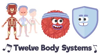 Twelve Body Systems Song [upl. by Azilef881]