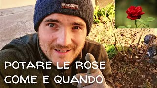 POTARE LA ROSA  COME E QUANDO [upl. by Anatol]