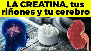 Lo que la Creatina le puede hacer a tus riñones y a tu cerebro [upl. by Argella644]