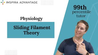 Physiology Sliding Filament Theory  MCAT Crash Course [upl. by Ahsiram]