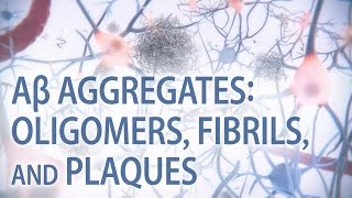 Aβ aggregates oligomers fibrils amp plaques  Alzheimer’s disease  medical animation [upl. by Katina]