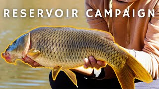 Carp Fishing Triadelphia Reservoir Reservoir Campaign [upl. by Rillis]