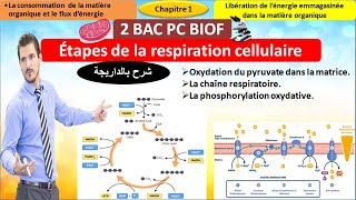 Les étapes de la respiration cellulaire svt 2 bac pc BIOF شرح بالداريجة [upl. by Head370]