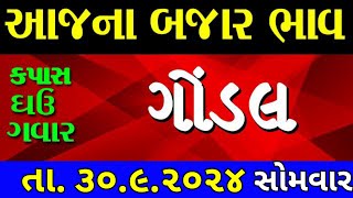 Commodity price 3092024 gondal marketing yard na bhav  saurashtra ajna bajar bhav commodity rate [upl. by Leonelle]