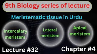 meristematic tissue class 9 Biology in Urdu Hindi  plant tissue  Lec32  cell and tissue  chp4 [upl. by Forrer]