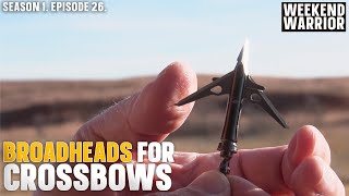 Which Broadhead You Should Use With Your Crossbow [upl. by Kind]