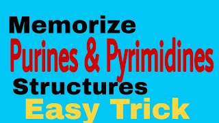 Purine amp Pyrimidine Structures  Easy way to memorize [upl. by Aimerej]