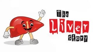 The Liver Story all about Hepatitis B [upl. by Akimik]