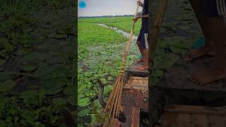 Boat Fishing Video 2024 part 132shortsshortvideo viral viralvideo fishing fishboatfishing [upl. by Ruyam]