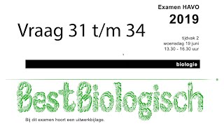 Biologie examen havo 2019 tweede tijdvak vraag 31 tm 34 [upl. by Nuri]