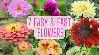 7 Easy amp Fast Flowers To Grow From Seed Beginner Friendly Annual Flowers [upl. by Atoiganap]