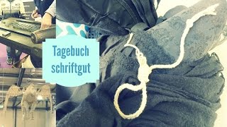 TAGEBUCH schriftgut Dresdner Buchmesse [upl. by Schwarz255]