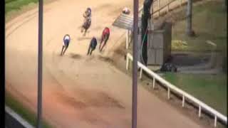 IGB  2018 BoyleSports Irish Greyhound Derby Round 1 Heat 6 17082018 Race 8  Shelbourne Park [upl. by Milty]