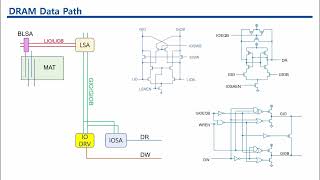 DRAM array structure and read write operation [upl. by Rodger]