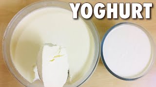 Homemade plain Yoghurt✨ [upl. by Campney133]