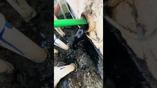 Restoring an 89 Year Old Cast Iron Pipe plumbing shorts [upl. by Femmine]