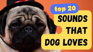 Top 20 Sounds that Dogs Love  Keep them tilting their heads for hours [upl. by Neysa249]