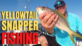 YELLOWTAIL SNAPPER fishing DEEP SEA snapper fishing basics amp tactics [upl. by Eleaffar]