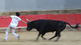 VALLABREGUESLigueCourse Camarguaise05062024 [upl. by Nospmas519]