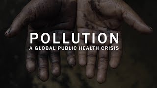 Pollution a global public health crisis [upl. by Okime]