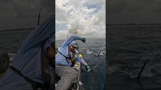 Foul hooked Sailfish dragged us for hours kayakfishing hobiefishing florida sailfish fishing [upl. by Wadell]