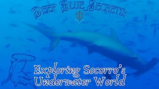 Archipelago de Revillagigedo Deep Blue Secrets Exploring Socorros Underwater World [upl. by Hentrich928]