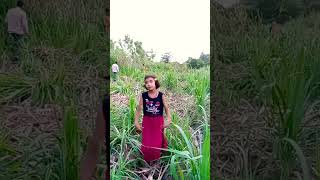 college ki ladkiyon music viral dance trending shortvideo Himanshidance70 [upl. by Antonia]