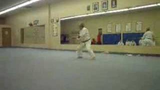 Yamane Chinen Ryu bo kata Shiromatsubo [upl. by Sotnas]