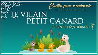 Le vilain petit canard  conte pour dormir  conte dAndersen [upl. by Yarod]