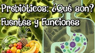 Los Prebióticos  ¿Que son  Funciones y PRINCIPALES ALIMENTOS Prebióticos [upl. by Aneelad914]