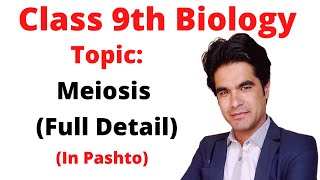 Meiosis  Meiosis full lecture in pashto  Home of biology [upl. by Karel]