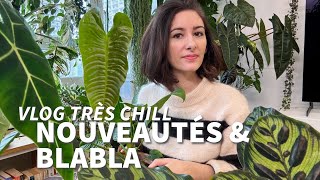 Vlog • haul plantes arrosage amp beaucoup de papotage [upl. by Tiphany]