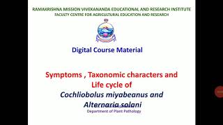 Lecture 19 4  Symptoms and life cycle of Helminthosporium  PAT 201 [upl. by Airotcivairam]