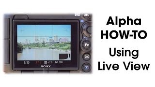 Using Live View on Sony Alpha Cameras [upl. by Efinnej]