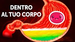 Un viaggio dentro il tuo corpo [upl. by Chow]