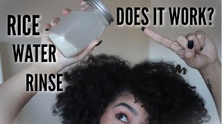 Trying Out a Rice Water Rinse for the FIRST Time  Actually Ashly [upl. by Yarb]