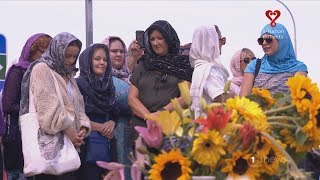 Women around NZ wear headscarves in solidarity with Christchurch mosque victims [upl. by Hniv]