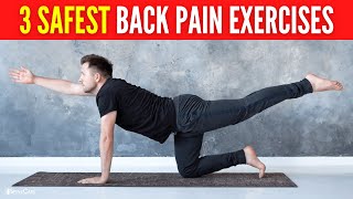 3 Safest Lower Back Pain Exercises FOR LONG LASTING RELIEF [upl. by Knoll]