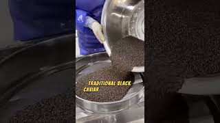 How black caviar is actually extracted from beluga [upl. by Hasseman]