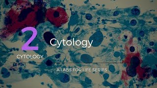 Cytology [upl. by Lipski183]