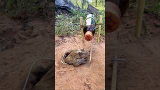 Survival Skills SIMPLE and USEFUL withTrap frogs Using a 150 m bottle camping outdoors [upl. by Market]