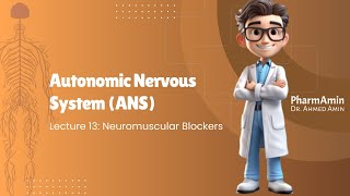 Lecture 13 Neuromuscular Blockers [upl. by Nevet]