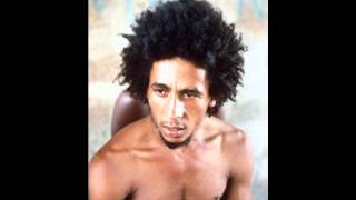 Bob Marley quot Rastaman Chant quot [upl. by Klinger]